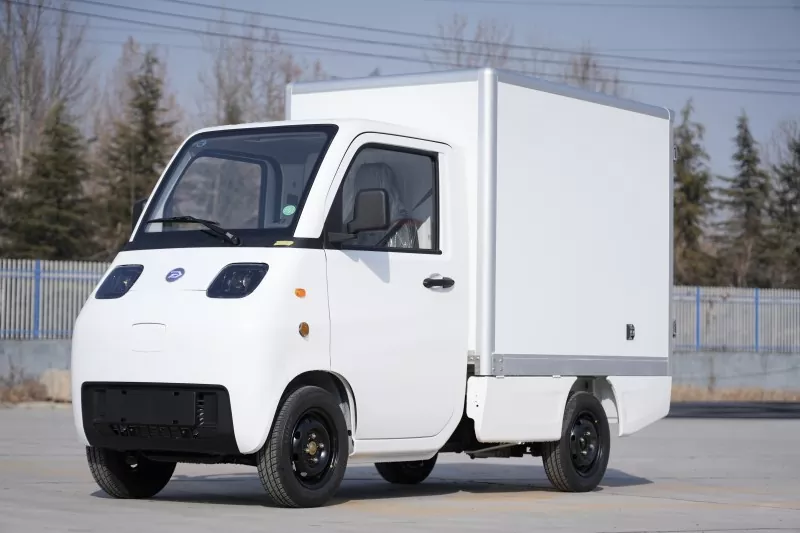 Mini Electric Vehicle Low Speed EEC COC